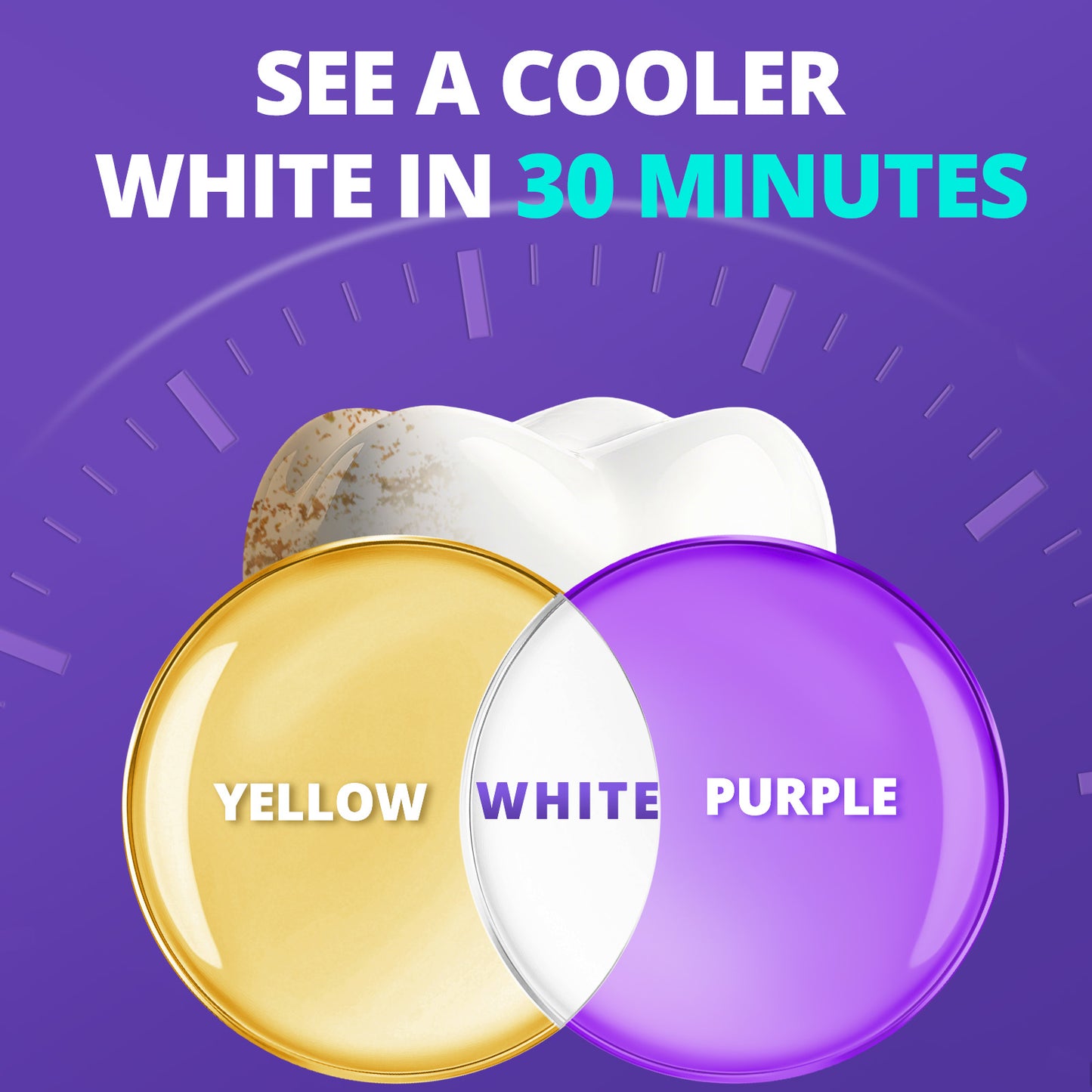 Purple Whitening Strips