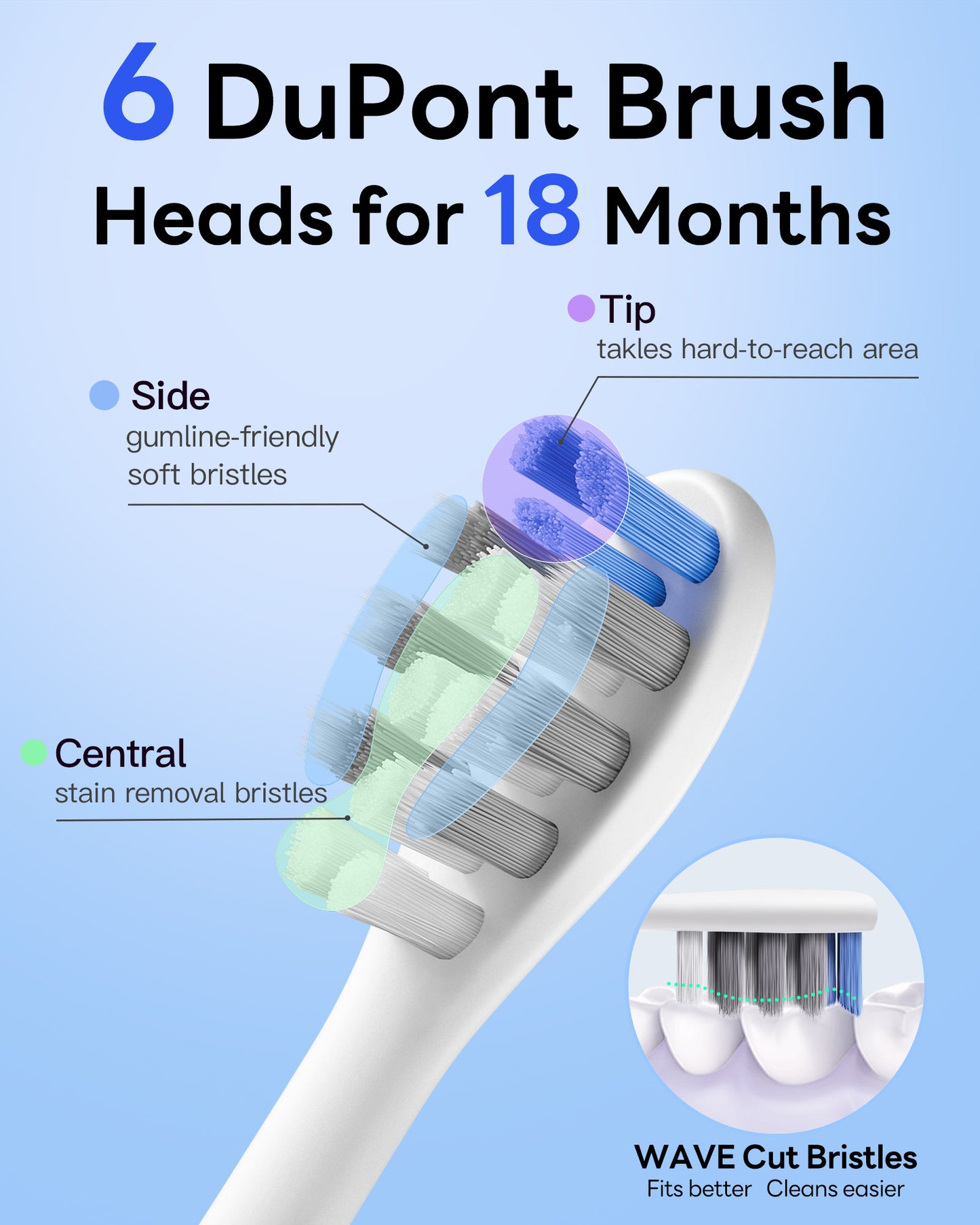 SAKYPRORAL Toothbrush Heads for G5S Electric Toothbrush, 2 Count Replacement Toothbrush Heads for Adults