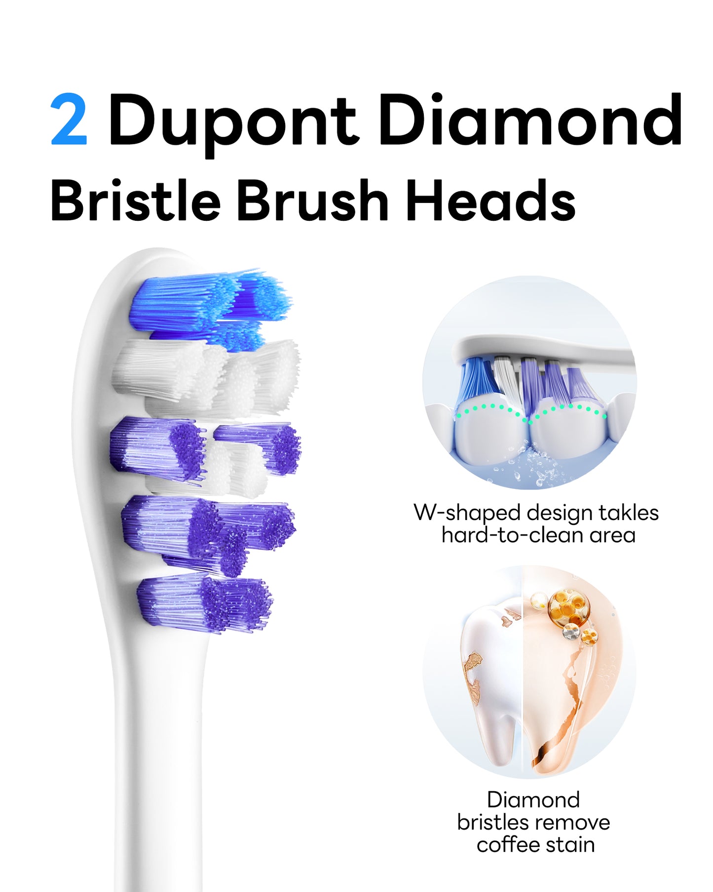 Smart Electric Toothbrush G5S Series Black